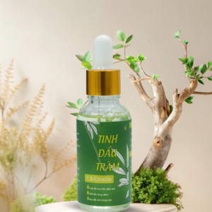 Tinh dầu tràm gió